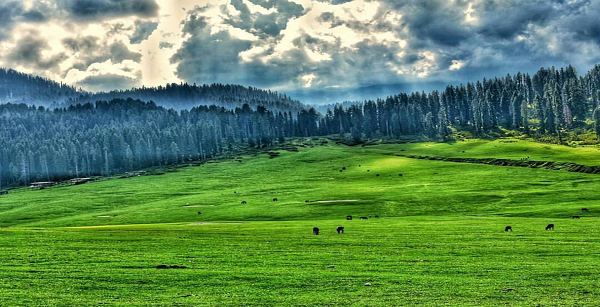 Kashmir  Heaven on Earth